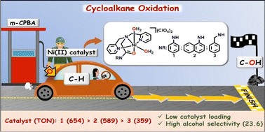 Graphical abstract: Selective synthesis of cyclic alcohols from cycloalkanes using nickel(ii) complexes of tetradentate amidate ligands