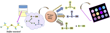 Graphical abstract: A point of care sensor for detection of alcohols, aldehydes and esters in urinary metabolites of war veterans injured by sulfur mustard