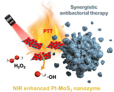 Graphical abstract: Synthesis of Pt–MoS2 with enhanced photothermal and peroxidase-like properties and its antibacterial application