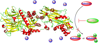 Graphical abstract: A review of the known MTA-cooperative PRMT5 inhibitors