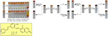 Graphical abstract: 6-Aminocoumarin-derived Schiff base gelators: aggregation and sensing of CN−, Fe3+, Cu2+ and CO2 under different conditions