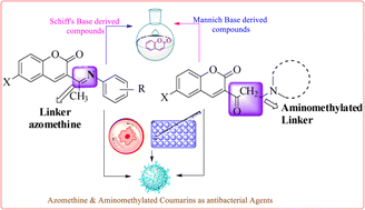 Graphical abstract: Multimodal antibacterial potency of newly designed and synthesized Schiff's/Mannich based coumarin derivatives: potential inhibitors of bacterial DNA gyrase and biofilm production