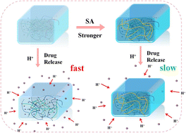 Graphical abstract: A pH-responsive dual-network biopolysaccharide hydrogel with enhanced self-healing and controlled drug release properties