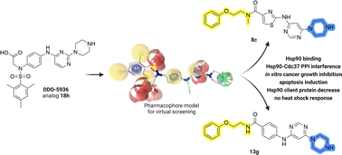Graphical abstract: Discovery of new Hsp90–Cdc37 protein–protein interaction inhibitors: in silico screening and optimization of anticancer activity