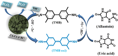 Graphical abstract: Optical detection of uric acid based on a citric acid functionalized copper-doped biochar nanozyme