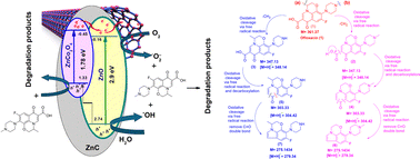 Graphical abstract: Construction of Cnts/calcined Zn-Co-LDHs hydrid to enhanced photocatalytic for ofloxacin decomposition: mechanism, degradation pathway, and toxicity assessment