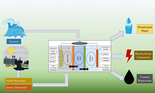 Graphical abstract: Efficiency of microbial desalination cells in treating wastewater, desalinating saltwater, and generating bioelectricity in Bangladesh