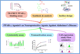 Graphical abstract: Novel PPAR-γ agonists as potential neuroprotective agents against Alzheimer's disease: rational design, synthesis, in silico evaluation, PPAR-γ binding assay and transactivation and expression studies