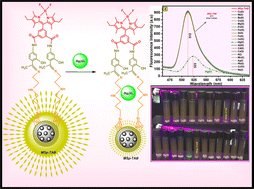 Graphical abstract: Detection of mercury(ii) in aqueous media using bodipy-functionalized magnetic fluorescent sporopollenin