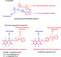 Graphical abstract: Design, synthesis, and biological evaluation of novel quinoline-based EGFR/HER-2 dual-target inhibitors as potential anti-tumor agents