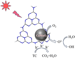 Graphical abstract: Porous CaMnO3-promoted g-C3N4 as an effective photocatalyst for tetracycline degradation