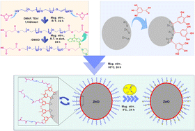 Graphical abstract: Synthesis of F127-GA@ZnO nanogel as a cisplatin drug delivery pH-sensitive system