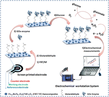Graphical abstract: Nanohexagonal iron barium titanate nanoparticles surface-modified NiFe2O4 composite screen-printed electrode for enzymatic glucose monitoring
