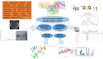 Graphical abstract: Identification of new leads against ubiquitin specific protease-7 (USP7): a step towards the potential treatment of cancers