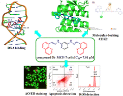 Graphical abstract: Design, synthesis, anticancer activity and molecular docking of quinoline-based dihydrazone derivatives