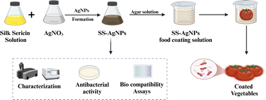 Graphical abstract: Synthesis, characterization and application of silk sericin-based silver nanocomposites for antibacterial and food coating solutions