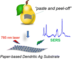 Graphical abstract: Flexible paper-based Ag dendritic SERS chips for rapid in situ detection of thiram residues on pear skin