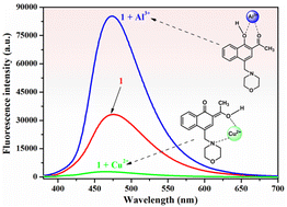 Graphical abstract: Fluorescence sensing of metal ions in solution using a morpholine-containing phenolic Mannich base of 1′-hydroxy-2′-acetonaphthone