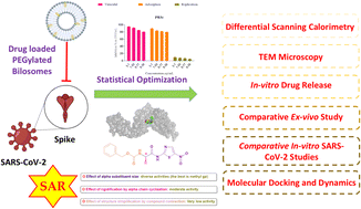 Graphical abstract: Biological and computational assessments of thiazole derivative-reinforced bile salt enriched nano carriers: a new gate in targeting SARS-CoV-2 spike protein