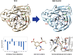 Graphical abstract: Molecular dynamics study on the effect of the N1 neuraminidase double mutant G147R/H274Y on oseltamivir sensitivity