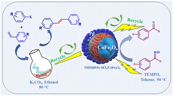 Graphical abstract: Core–shell Pd(0)@His-SiO2/CoFe2O4 nano-composite as a magnetically recoverable heterogeneous catalyst for the deprotection of oximes and Heck coupling