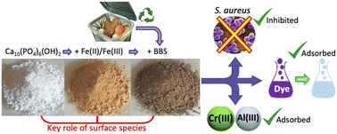 Graphical abstract: Insights into performances of magnetic and bio-based doped-nanohydroxyapatites as water decontamination agents