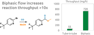 Graphical abstract: Carbonylations in flow: tube-in-tube reactor vs. gas–liquid slug flow