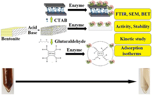 Graphical abstract: Immobilized laccase of Galactomyces geotrichum on modified bentonite and its use in the bioremediation of olive mill wastewater