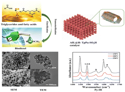 Graphical abstract: Acidic ionic liquid-decorated covalent organic framework TpPa–SO3H: a reusable solid acid catalyst used for sustainable biodiesel production from low-grade acidic oils