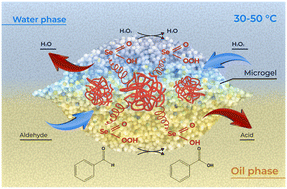 Graphical abstract: Selenium-modified microgels as interfacial catalysts for the heterophase oxidation of aromatic aldehydes