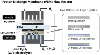 Graphical abstract: Proton exchange membrane flow reactor with ozone-treated gas diffusion layers for production of pure H2O2 in aqueous and methanol solutions