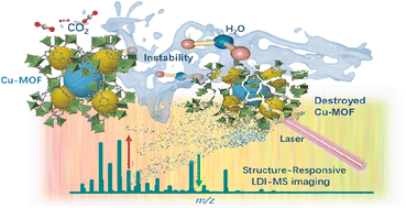 Graphical abstract: Probing the stability of metal–organic frameworks by structure-responsive mass spectrometry imaging