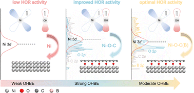 Graphical abstract: Revealing the role of a bridging oxygen in a carbon shell coated Ni interface for enhanced alkaline hydrogen oxidation reaction