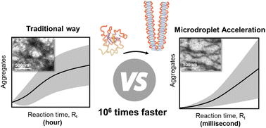Graphical abstract: Accelerating protein aggregation and amyloid fibrillation for rapid inhibitor screening