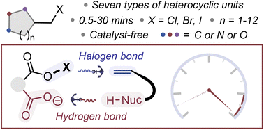 Graphical abstract: Intramolecular chaperone-assisted dual-anchoring activation (ICDA): a suitable preorganization for electrophilic halocyclization