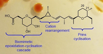 Graphical abstract: Combining total synthesis and genetic engineering to probe dihydropyran formation in ambruticin biosynthesis
