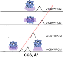 Graphical abstract: The effect of host size on binding in host–guest complexes of cyclodextrins and polyoxometalates