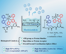 Graphical abstract: An intramolecular cobalt-peptoid complex as an efficient electrocatalyst for water oxidation at low overpotential