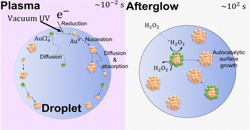 Graphical abstract: Mechanisms of controlled stabilizer-free synthesis of gold nanoparticles in liquid aerosol containing plasma