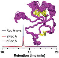 Graphical abstract: Picking the tyrosine-lock: chemical synthesis of the tyrosyl-DNA phosphodiesterase I inhibitor recifin A and analogues