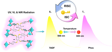 Graphical abstract: Thermal control over phosphorescence or thermally activated delayed fluorescence in a metal–organic framework