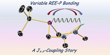 Graphical abstract: Flexible interactions of the rare-earth elements Y, La, and Lu with phosphorus in metallacyclohexane rings