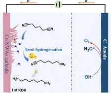 Graphical abstract: Electrochemical semi-hydrogenation of adiponitrile over copper nanowires as a key step for the green synthesis of nylon-6