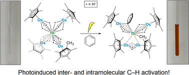Graphical abstract: Photolysis-driven bond activation by thorium and uranium tetraosmate polyhydride complexes