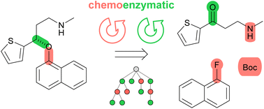 Graphical abstract: Chemoenzymatic multistep retrosynthesis with transformer loops