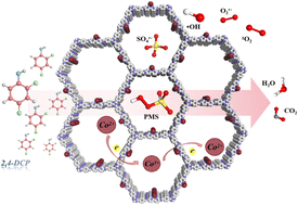 Graphical abstract: A cobalt-modified covalent organic framework enables highly efficient degradation of 2,4-dichlorophenol in high concentrations through peroxymonosulfate activation