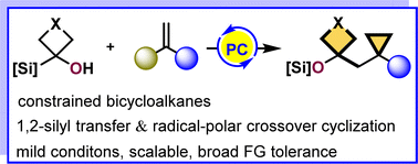 Graphical abstract: Synthesis of constrained bicycloalkanes through bibase-promoted brook rearrangement/radical-polar crossover cyclization
