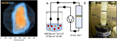 Graphical abstract: Engineered species-selective ion-exchange in tuneable dual-phase zeolite composites