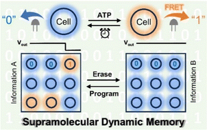Graphical abstract: An enzymolysis-induced energy transfer co-assembled system for spontaneously recoverable supramolecular dynamic memory