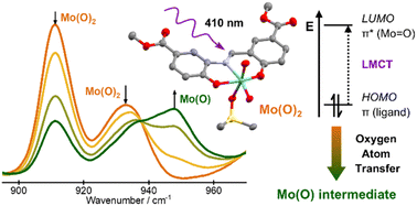 Graphical abstract: Ligand-to-metal charge transfer facilitates photocatalytic oxygen atom transfer (OAT) with cis-dioxo molybdenum(vi)-Schiff base complexes